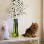 아파트호텔 Speranza 4*