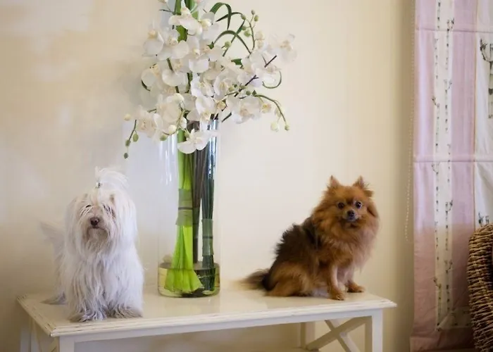 Lägenhetshotell Speranza 4*