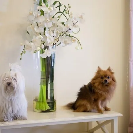 شقة فندقية Speranza 4*